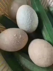 -茜茜美妍堂·华熙生物·甜朵体验中心
