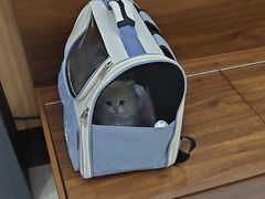 -瑞鹏宠物医院·夜间急症·心超·猫科(祖庙分店)
