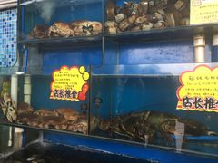 水产区-蚝专家(北滘店)