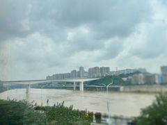 -李子坝梁山鸡(李子坝大鸡哥店)