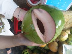 -鹅銮鼻公园