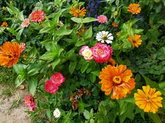 -亚龙湾国际玫瑰谷