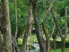 -深圳国际园林花卉博览园