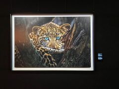 -罗红摄影艺术馆