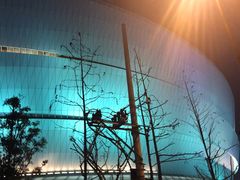 -成都金融城演艺中心