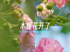 -洋湖国家湿地公园