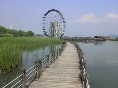 -太湖湖滨国家湿地公园-停车场