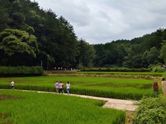 -韶山毛泽东同志故居