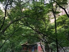 -苍岩山风景名胜区
