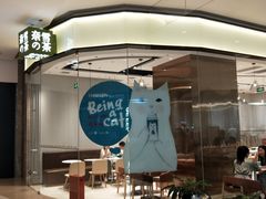 -奈雪的茶(石家庄万象城店)