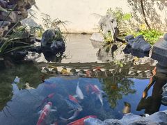 -道南書院·私房菜·早午茶·茶馆