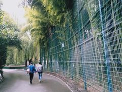 -西安市长乐公园