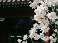 -湛山寺
