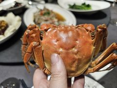 -柒园·三十年创意杭帮菜(黄龙K-lab店)