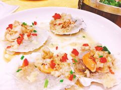 蒸扇贝-善银私房菜馆(金舟花园小区店)