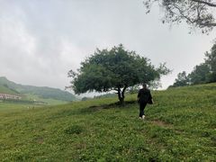 -关山牧场王师烤全羊