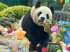 -大连森林动物园