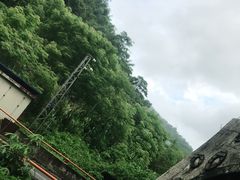 -西双版纳原始森林公园
