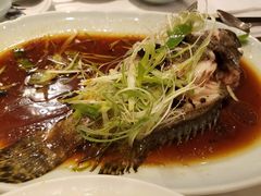 -八月花(旺角朗豪坊店)