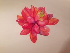 -鼎画艺术机构(贵都店)