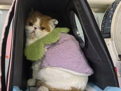 -达爱动物医院·犬猫分区·CT·复杂眼科(远洋山水分院)