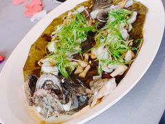 鸡枞菌蒸黄皮老虎斑-三利音·东方司宴(外滩店)