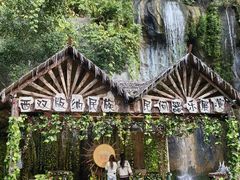 -西双版纳原始森林公园