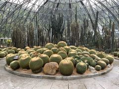 -深圳仙湖植物园