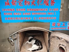 -一品天下(地铁站)