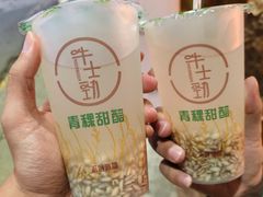 -德禄酸奶(莫家街店)