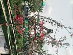 -观澜湖生态运动公社