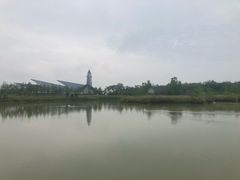 -盐城丹顶鹤湿地生态旅游区