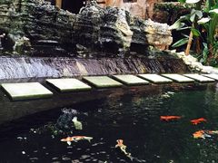 -顺景温泉