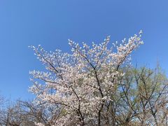 -清真·锦翔炝锅鱼(明德门店)