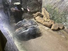 -青青世界