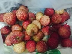 -红星农博物流中心