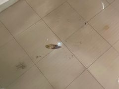 -朱毅育龙游泳俱乐部