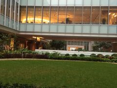 -香港大学