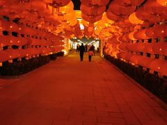 -南宫五洲植物乐园