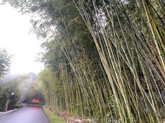 -天目湖涵田度假村