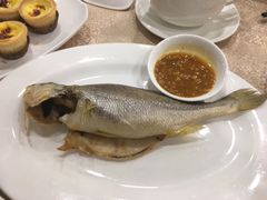-麒麟中餐厅·经典粤菜·地道菜式老字号(广州长隆酒店)