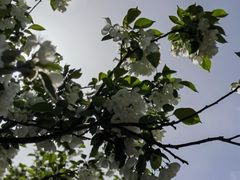 -西宁市东关清真大寺