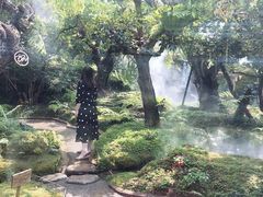 -Chom Cafe and Restaurant