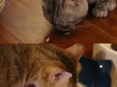 -H立方实景剧情密室(天河旗舰店)