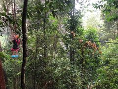 -清迈丛林飞跃 JungleFlight