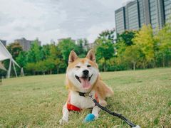 -杭州城北体育公园