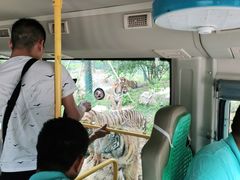 -栾川竹海野生动物园