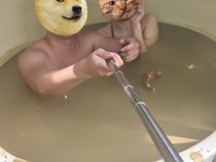 -100蛋泥浆浴