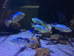 -华夏文旅海洋公园