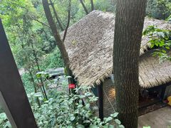 -巴倒烫陆派重庆火锅(南山店)